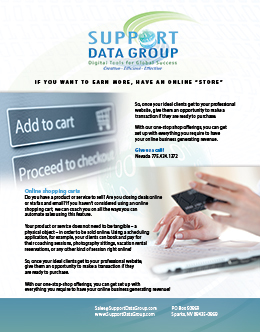 5-Support-Data-Inc-Flyer---Online-Shopping-Cart